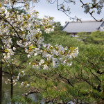 10-03-11 - Kioto 4834