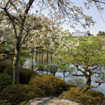 10-03-11 - Kioto 4835