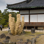 10-03-11 - Kioto 4916