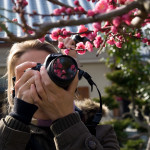 10-03-11 - Kioto 4931