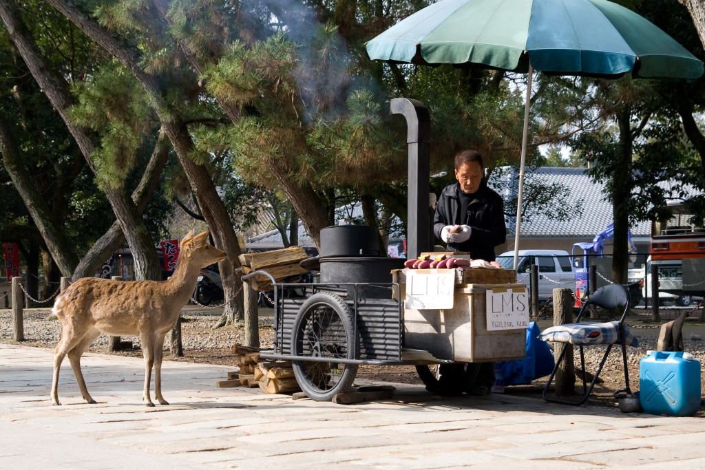 10-03-12 - Nara - Osaka 5039