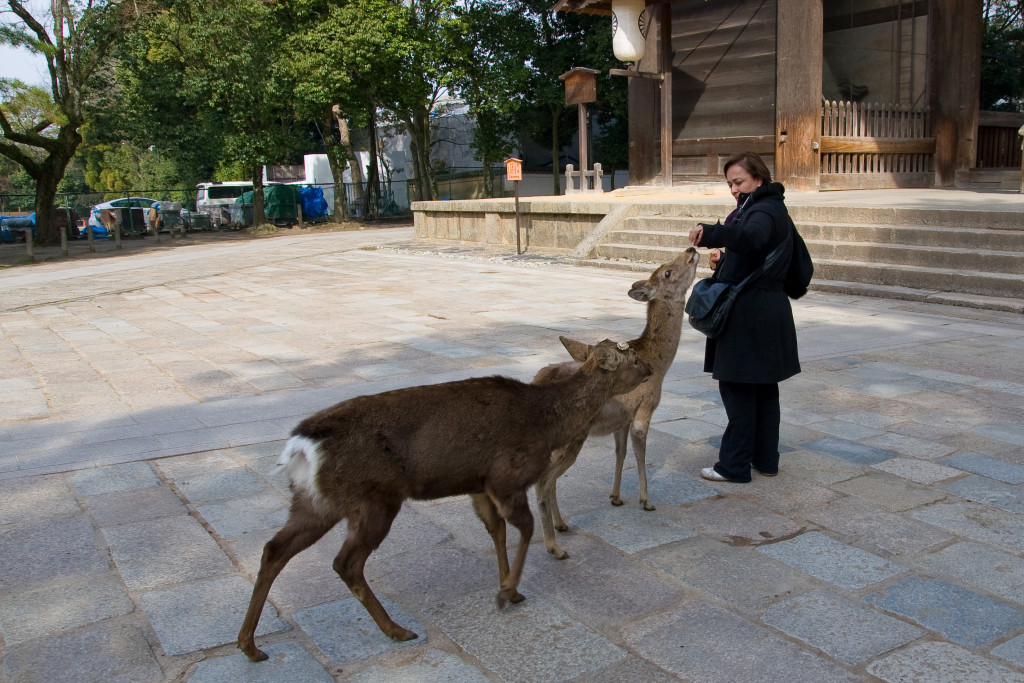 10-03-12 - Nara - Osaka 5043