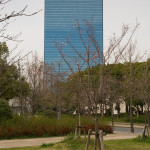 10-03-12 - Nara - Osaka 5165