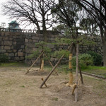 10-03-12 - Nara - Osaka 5166