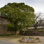 10-03-12 - Nara - Osaka 5205