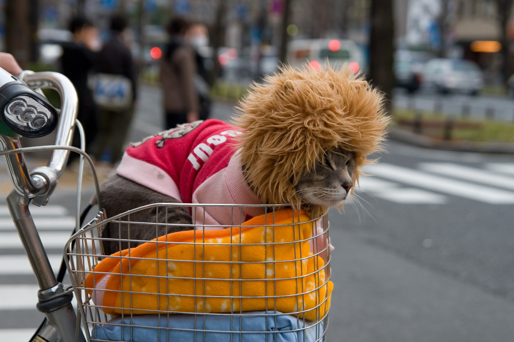 10-03-12 - Nara - Osaka 5221