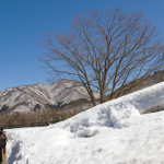 10-03-14 - Nagoya - Shirakagawo - Takayama 5398