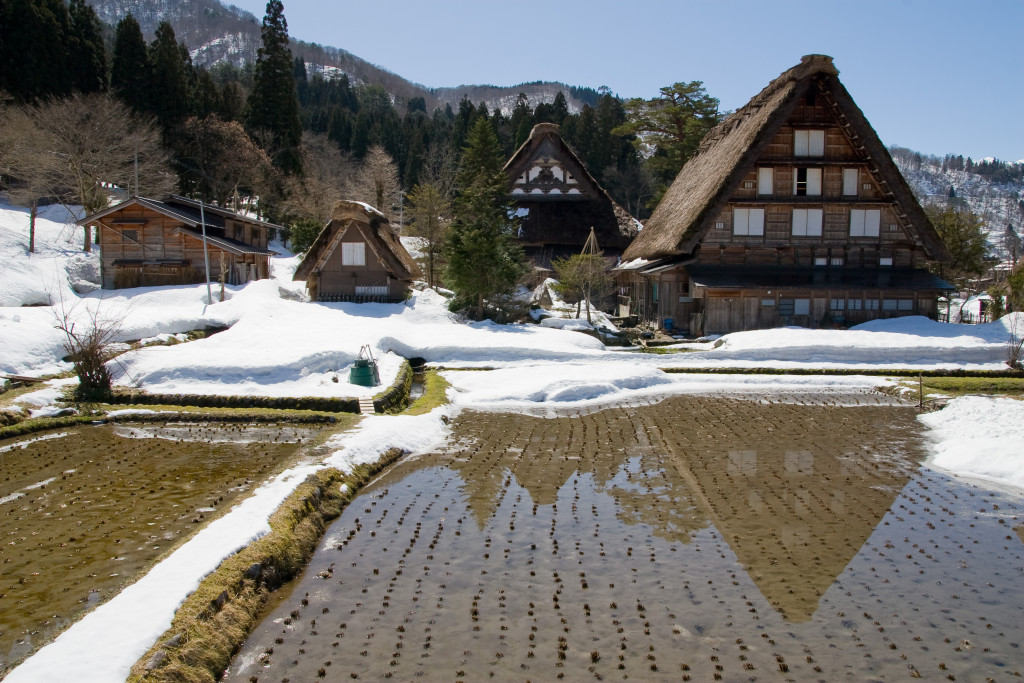 10-03-14 - Nagoya - Shirakagawo - Takayama 5434