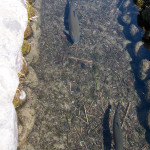 10-03-14 - Nagoya - Shirakagawo - Takayama 5445