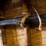 10-03-14 - Nagoya - Shirakagawo - Takayama 5465