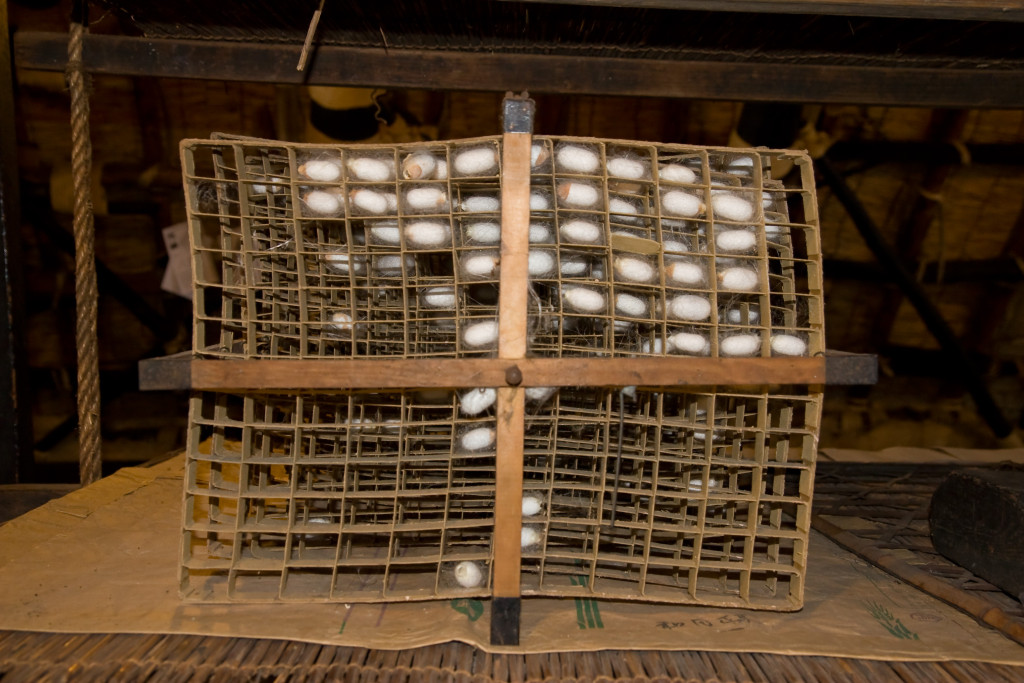 10-03-14 - Nagoya - Shirakagawo - Takayama 5467