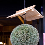 10-03-14 - Nagoya - Shirakagawo - Takayama 5519