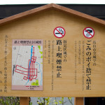 10-03-15 - Tsumago - Magome - Hakone 5531