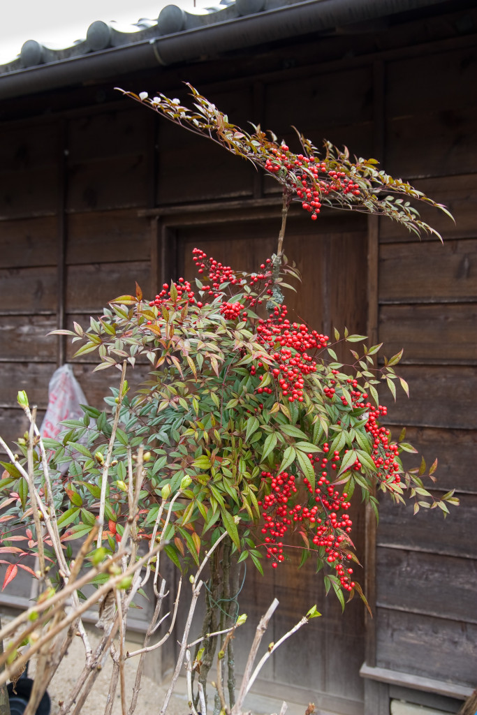 10-03-15 - Tsumago - Magome - Hakone 5538