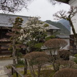 10-03-15 - Tsumago - Magome - Hakone 5550