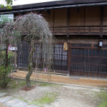 10-03-15 - Tsumago - Magome - Hakone 5581