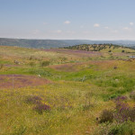 10-05-01 - Campo 7350