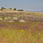 10-05-01 - Campo 7358