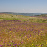 10-05-01 - Campo 7360