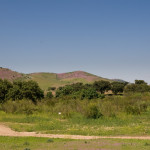 10-05-01 - Campo 7376