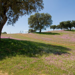 10-05-01 - Campo 7394