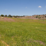 10-05-01 - Campo 7413