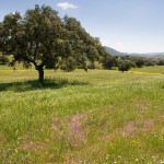 10-05-01 - Campo 7414