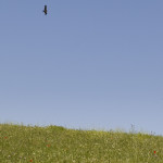 10-05-01 - Campo 7418