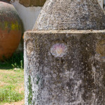 10-05-01 - Campo 7426