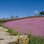 10-05-01 - Campo 7442