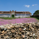 10-05-01 - Campo 7450