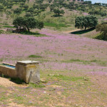 10-05-01 - Campo 7456