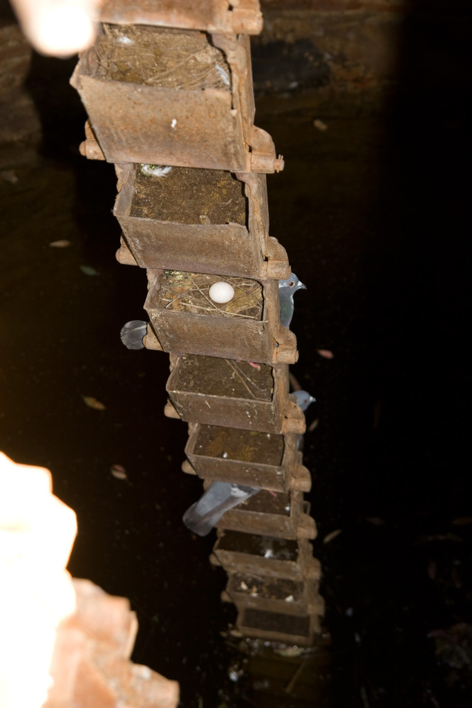 10-05-01 - Campo 7479