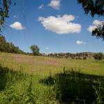 10-05-01 - Campo 7482