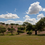 10-05-01 - Campo 7488