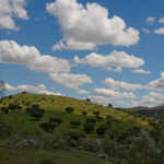 10-05-01 - Campo 7490