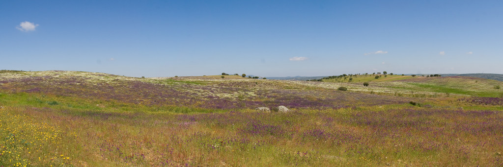 Panorama_sin_título2