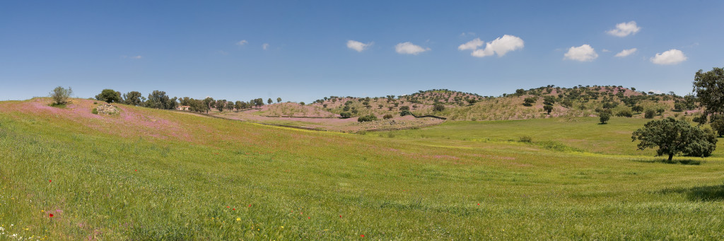 Panorama_sin_título3